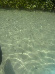 King's Landing - Apopka, FL kl shallow water