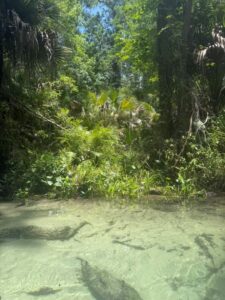King's Landing - Apopka, FL kl water 2