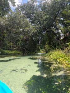 King's Landing - Apopka, FL kl water 3